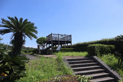 青空と木立の展望台