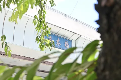 木橋に映る緑の静けさ