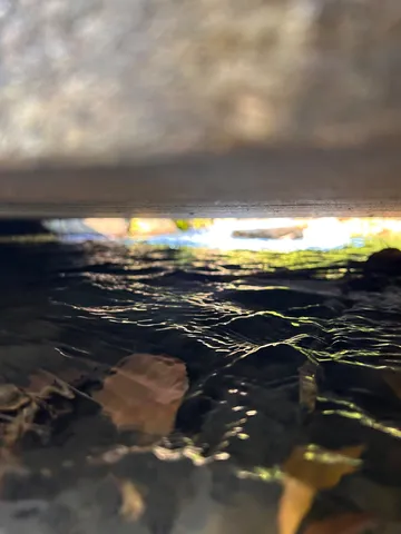 水面に映る光のゆらぎ