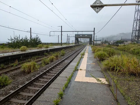 雨の線路に芽吹く静けさ
