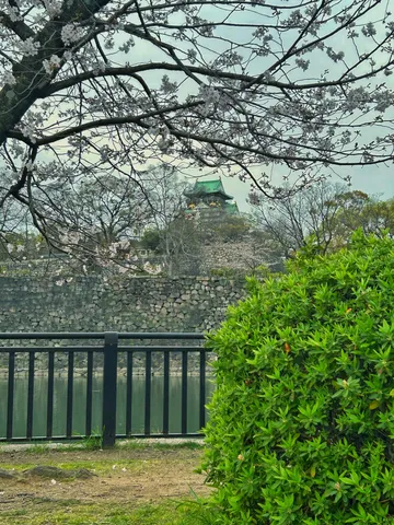 古城と桜、春の調和