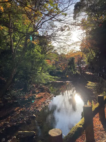 川面に映る木漏れ日の秋景色