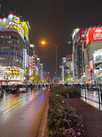 雨夜のネオン街、傘の花束