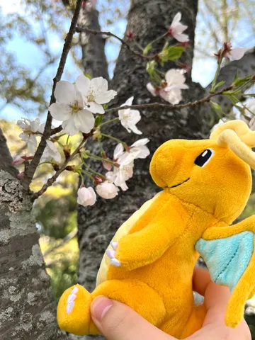 桜とドラゴン、春の戯れ