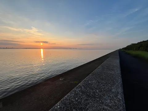 水平線に輝く太陽の道