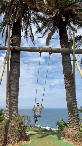 ヤシの木ブランコと青い海