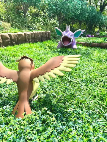 ポケモンたちの夏休み？