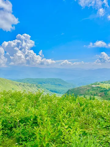 緑萌える山々のパノラマ