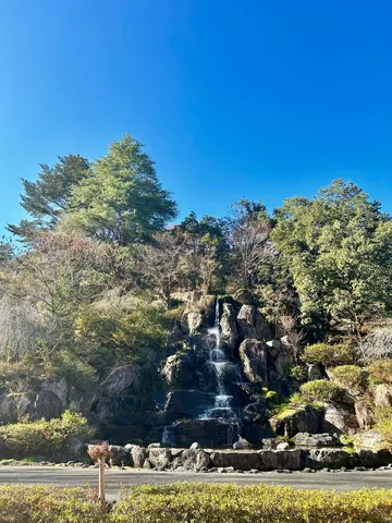 静寂に響く水の調べ