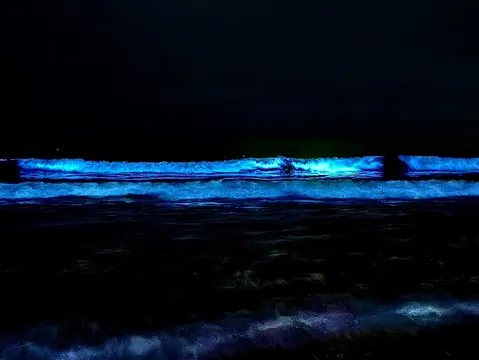 夜の海に浮かぶ青い光