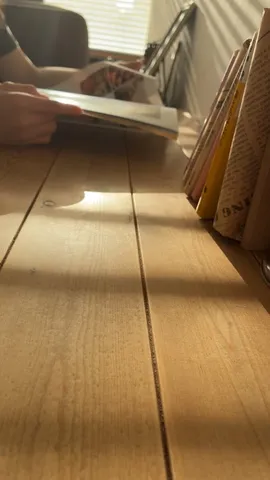 木漏れ日の読書風景