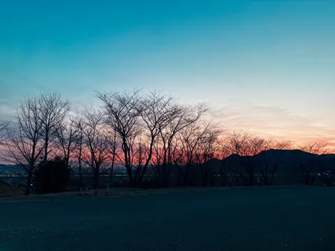夕暮れの木々と静寂