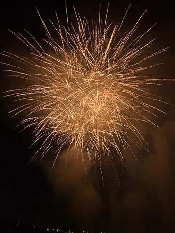 夜空を彩る黄金の華