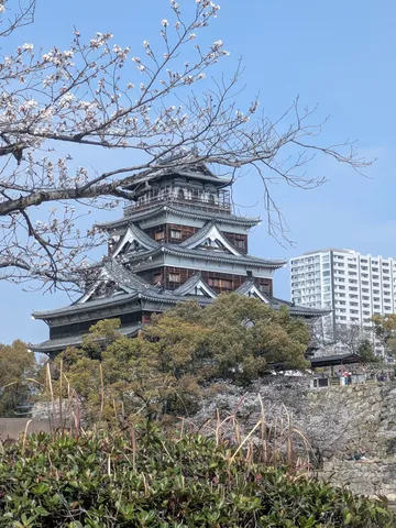 桜咲く古城、新旧の対比