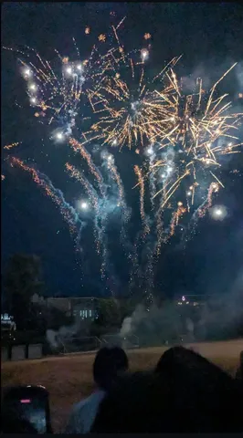 夜空に花火の瞬間