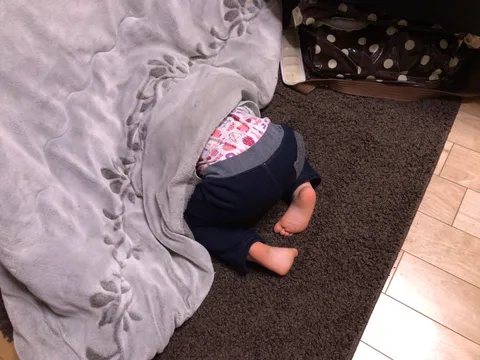 布の陰に潜む小さな冒険
