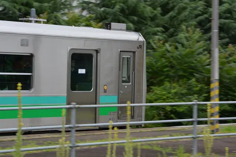 緑と鉄路を走る車両