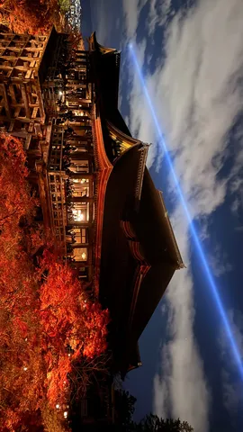 光の道筋と紅葉の競演
