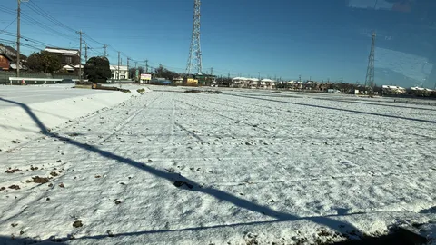 雪化粧の畑と電線