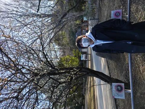 梅の花と見上げる静かな時間