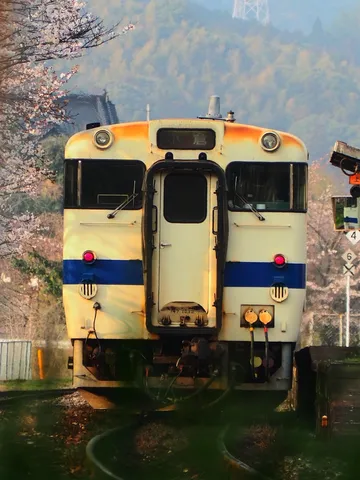 桜とノスタルジックな列車、春の旅愁