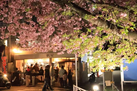 夜桜と賑わう店先