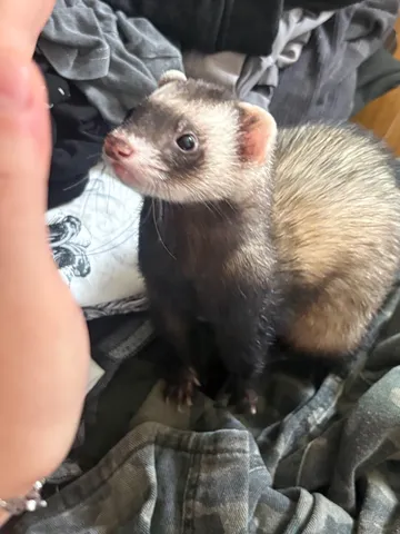 ふたりで覗く、未知の世界
