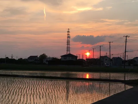 夕焼けと田んぼのコントラスト