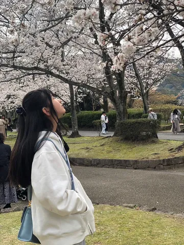 桜を見上げる春のまなざし