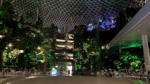緑に包まれた幻想的な空間