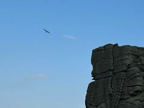 空を往く鳥と横顔の岩