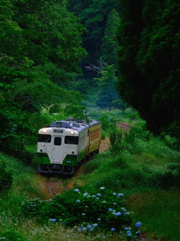 緑深き森を走るレトロ列車