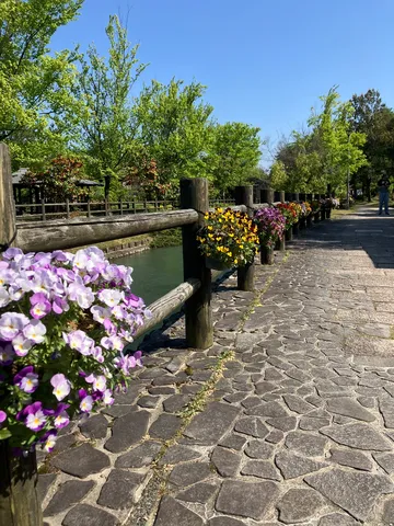 お散歩日和、花に誘われて