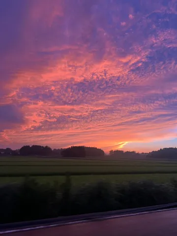 燃える空と緑のコントラスト