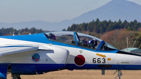 蒼空を駆ける航空自衛隊の機体