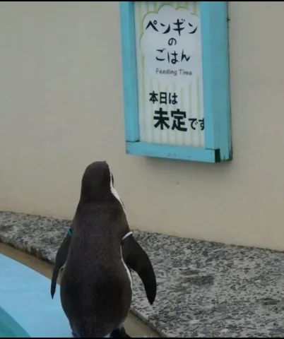 ペンギンと看板の時間