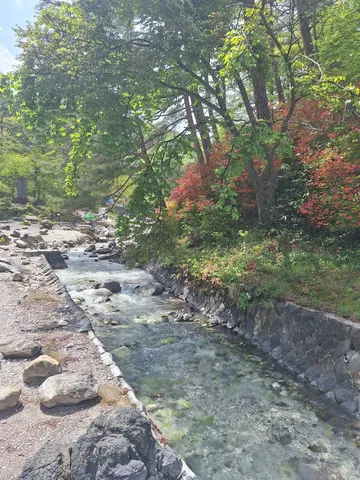 清流と新緑のコントラスト
