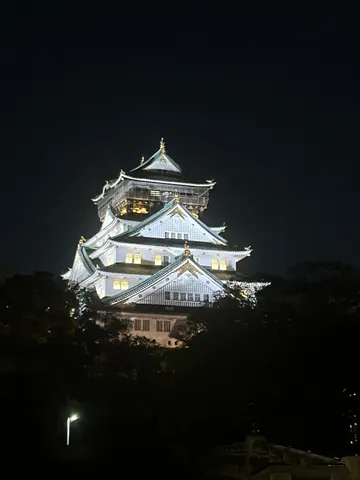 闇夜に浮かぶ白鷺城