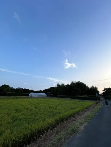 田園の静かな夕景