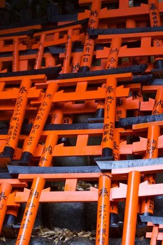 午後の光、静かな瞬間