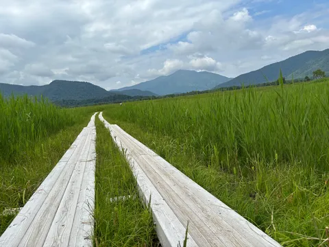 草原を貫く板張りの道