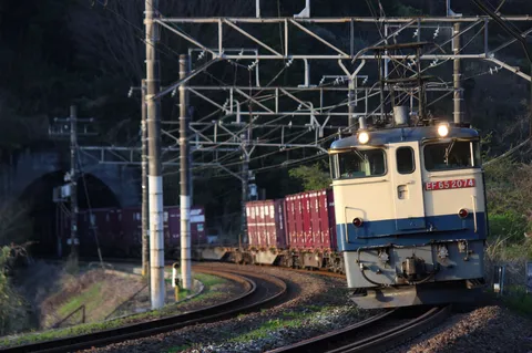 トンネルから現れる貨物列車
