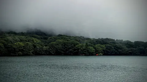霧深き湖畔の鳥居