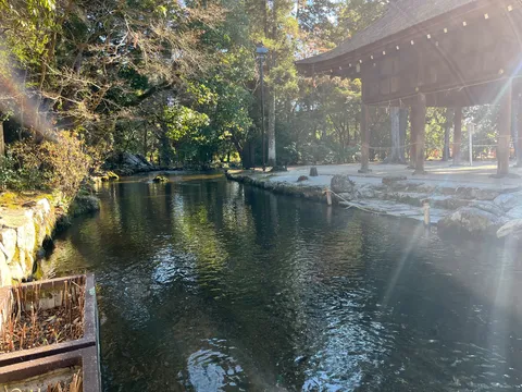 光と水の静かな縁