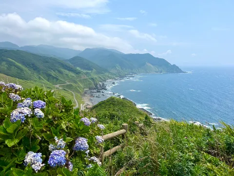 絶景の海岸線と初夏の彩り