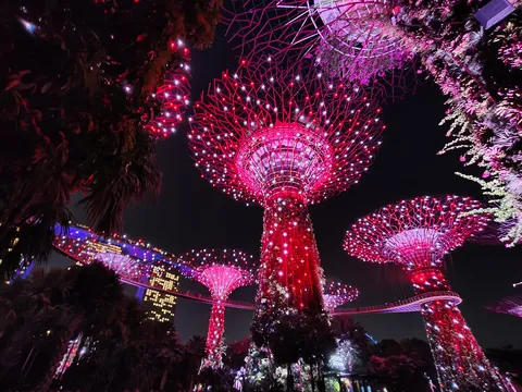 夜空に咲く光の華園