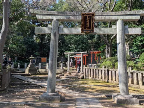 石段と鳥居の静かな祈り