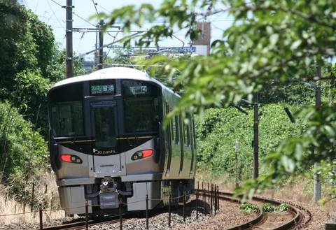 緑のカーテンに隠れる列車