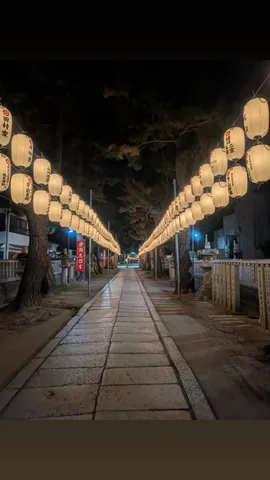 提灯が誘う、夜のランウェイ