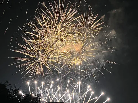 夜空を彩る黄金の華